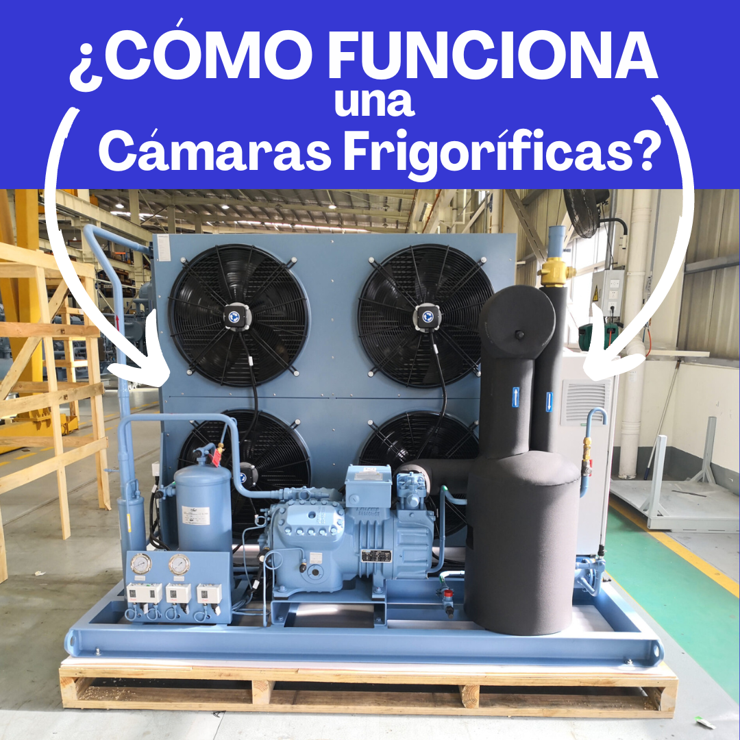 Funcionamiento de Cámaras Frigoríficas Explicado